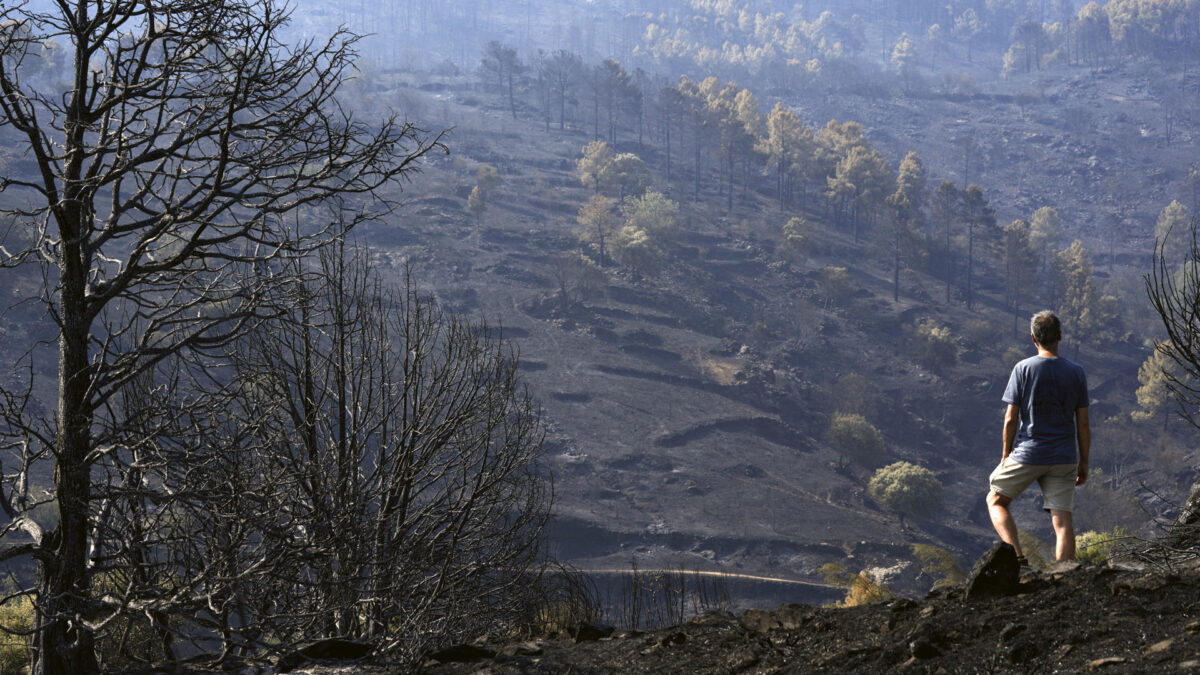 Incendio de Burgohondo - Sociedad