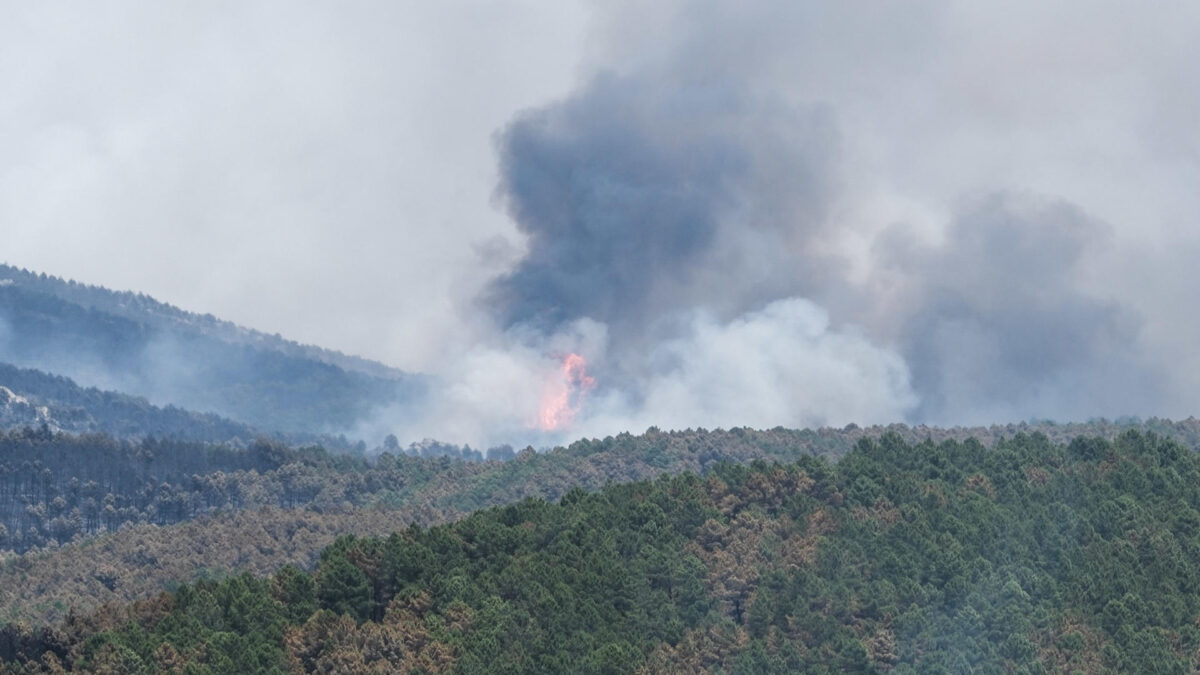 LA MIERLA (GUADALAJARA), 18/07/2026.- El incendio que se inició el pasado jueves en La Mierla, en la Sierra Norte de Guadalajara, ha afectado ya a unas 5.400 hectáreas desde que fue detectado, el 90 por ciento de la superficie afectada perteneciente al Parque Natural de la Sierra Norte, y ha hecho necesario evacuar otra localidad, con lo que ya son 12 los municipios desalojados con unas 600 personas desplazadas. EFE/ Nacho Izquierdo