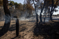 FOTODELDIA LOZOYUELA (MADRID) 17/07/2026.- Vista de la zona quemada por incendio forestal declarado este viernes en Lozoyuela que continúa en fase de estabilización y sin frentes de llama activos, aunque permanece sin controlar y mantiene el nivel 2 del Plan Especial de Protección Civil de Emergencia por Incendios Forestales (Infoma), ante el riesgo de reproducciones por las altas temperaturas y el viento previstos para la jornada. EFE/Daniel González