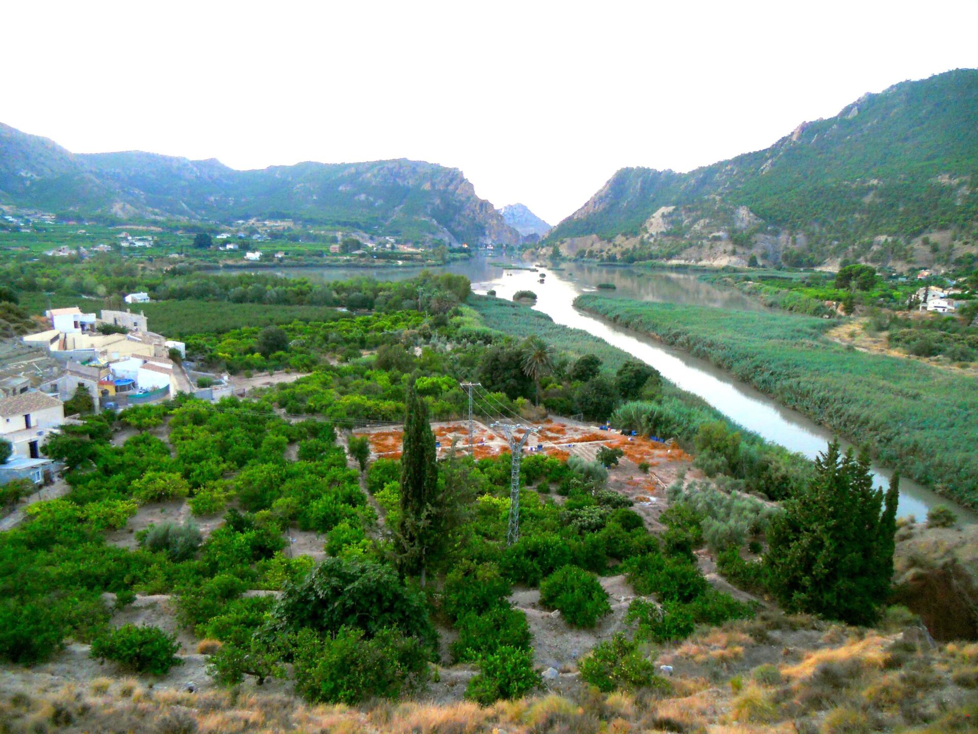 Blanca llega a Grand Prix 2026: el pueblo de Murcia que durante siglos se llamó Negra Blanca llega a Grand Prix 2026: el pueblo de Murcia que durante siglos se llamó Negra