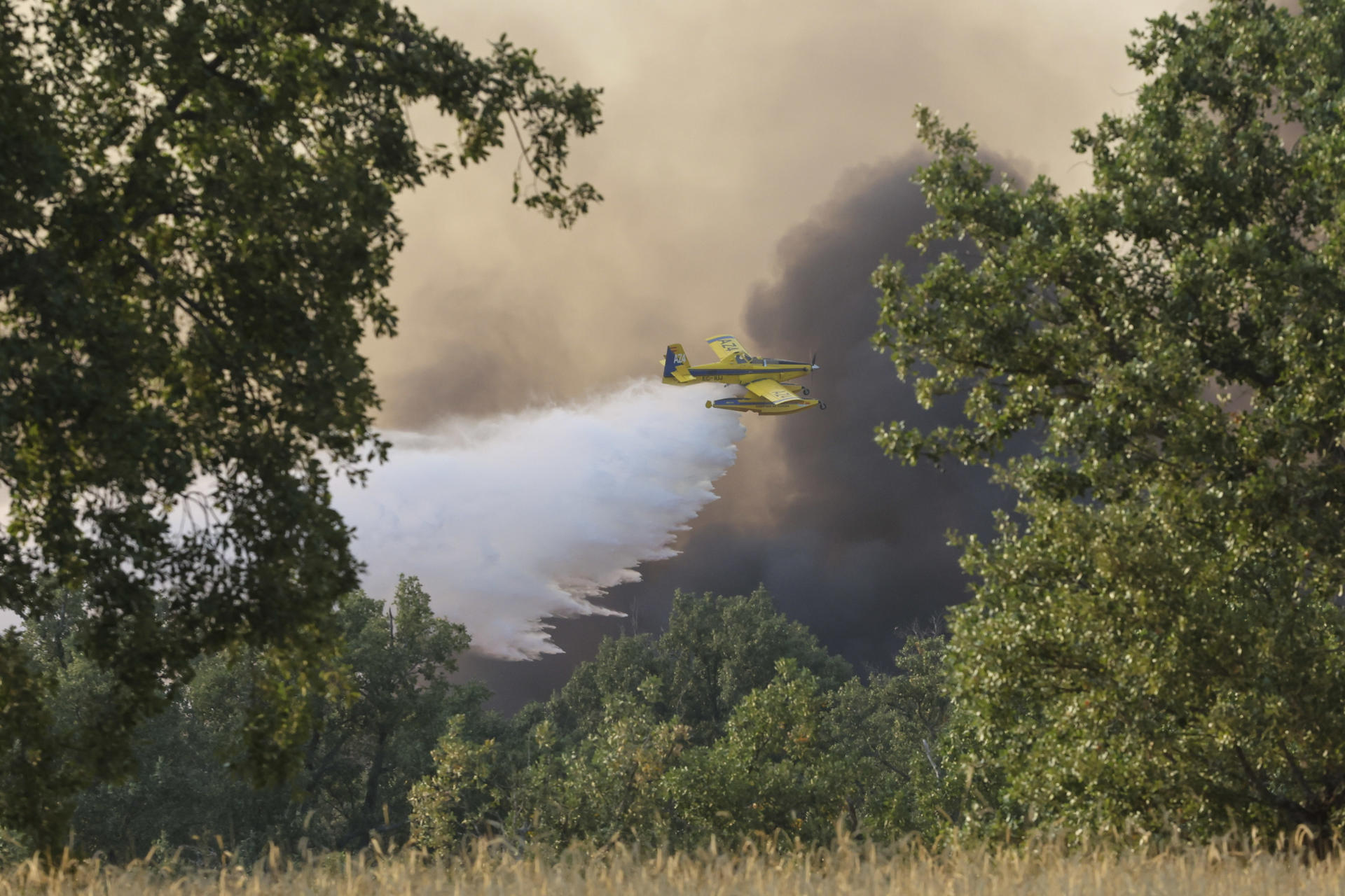 FERMOSELLE (ZAMORA), 29/07/2026.- Un hidroavión lanza agua sobre el incendio de Fermoselle (Zamora), este miércoles entre Zamora y Salamanca. Los vecinos de una docena de pueblos zamoranos del entorno de los Arribes del Duero, que suman una población cercana al millar de personas, han sido evacuados hoy por el incendio declarado por la tarde en Fermoselle (Zamora), cuya población también se encuentra confinada al igual que la de Fariza. EFE/ J.M.García
