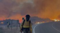 Bomberos en el incendio de Los Gallardos - Sociedad