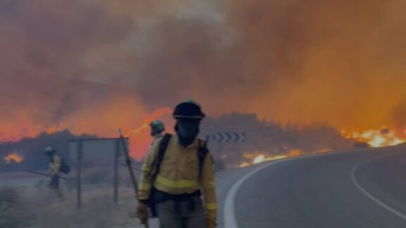 Bomberos en el incendio de Los Gallardos - Sociedad