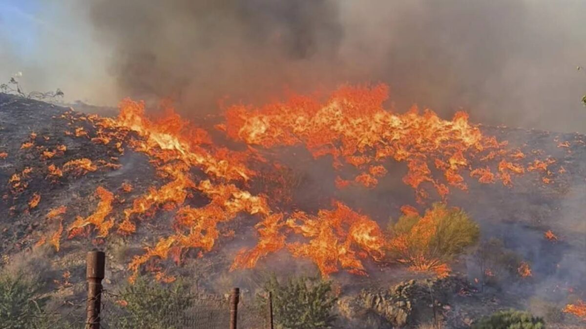 Fuego en el incendio de Los Gallardos - Sociedad