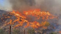 Fuego en el incendio de Los Gallardos - Sociedad