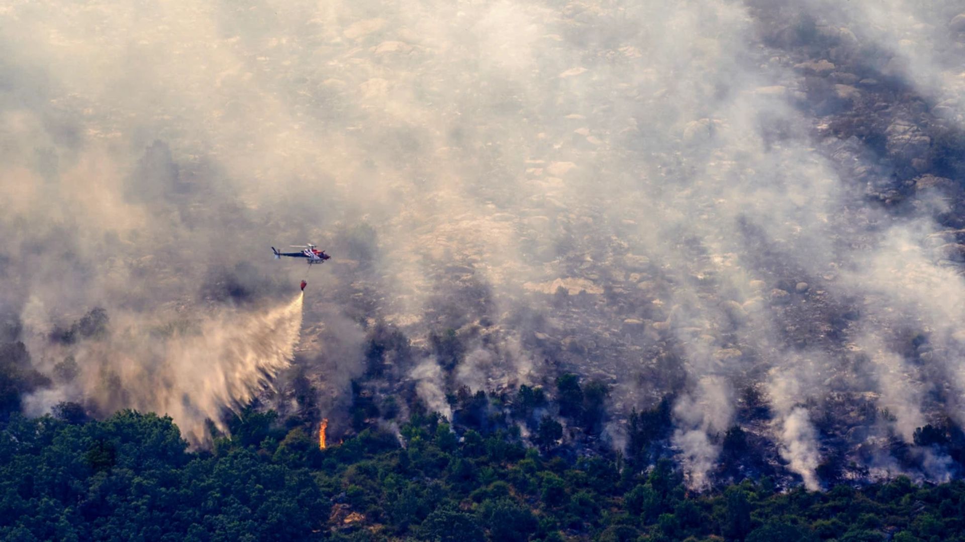 Imagen del incendio en Burgohondo (Ávila).