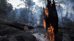 Zonas quemadas en los alrededores del embalse de El Burguillo debido al incendio que se originó en Burgohondo (Ávila).