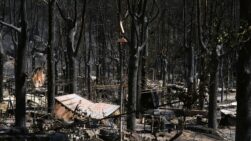 Parte del Parque Natural del Valle de Iruelas arrasada por el incendio de Burgohondo (Ávila).