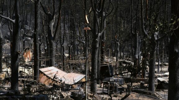 Parte del Parque Natural del Valle de Iruelas arrasada por el incendio de Burgohondo (Ávila).