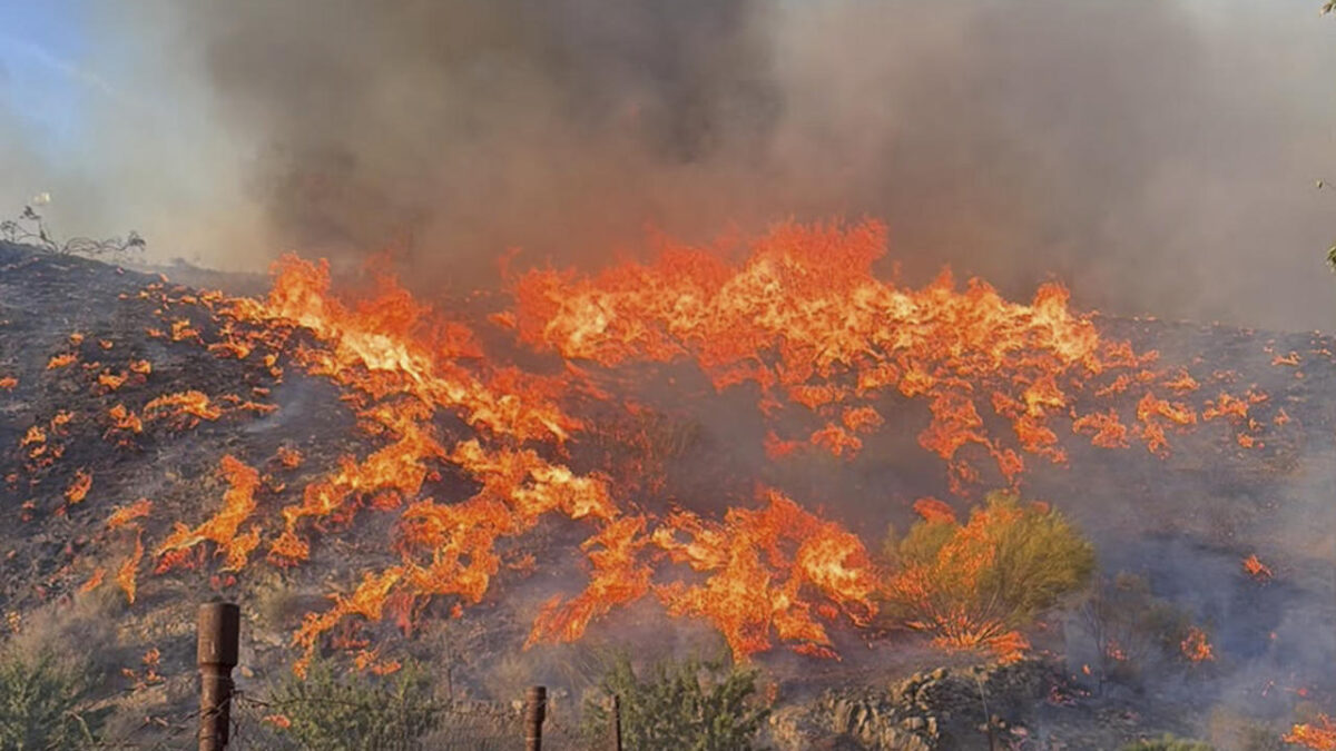 LOS GALLARDOS (ALMERÍA), 09/07/2026.- Incendio en el que seis personas han muerto en el municipio almeriense de Los Gallardos, en concreto en una pedanía del municipio vecino de Bédar, habiendo sido halladas algunas de las víctimas en el interior de vehículos que fueron alcanzados por las llamas. EFE/Junta de Andalucía SÓLO USO EDITORIAL, PERMITIDO SU USO SÓLO EN RELACIÓN A LA INFORMACIÓN QUE APARECE EN EL PIE DE FOTO (CRÉDITO OBLIGATORIO)