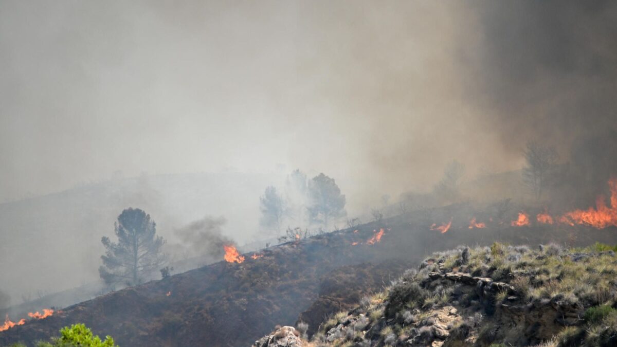 Varios focos en el incendio forestal declarado en Los Gallardos.