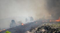 Varios focos en el incendio forestal declarado en Los Gallardos.