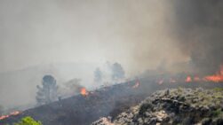 Varios focos en el incendio forestal declarado en Los Gallardos.