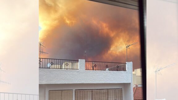 Vista del incendio desde una de las viviendas que fueron desalojadas en Bédar.