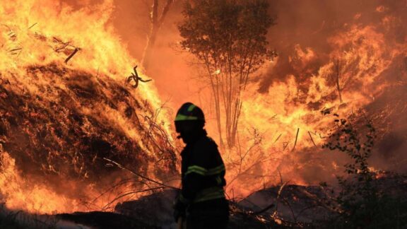 Incendio de Bragança - Internacional