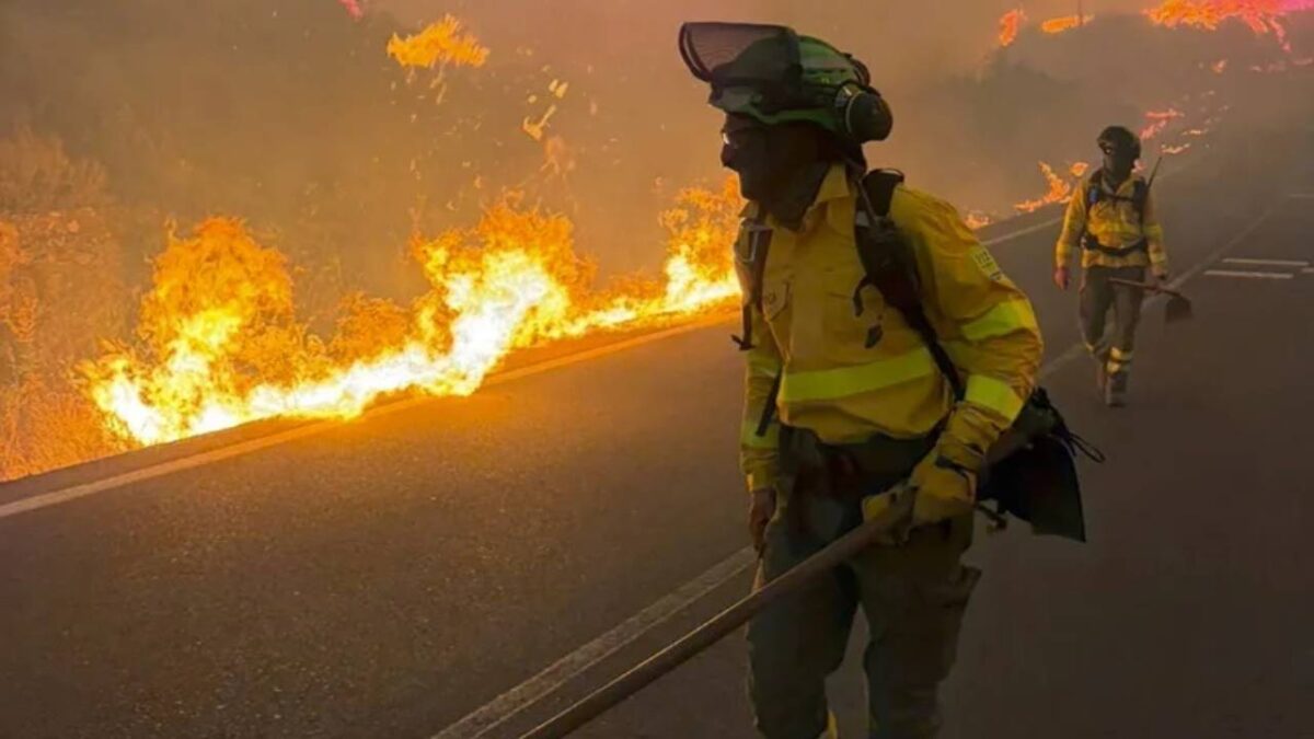 Incendio de Los Gallardos - Sociedad