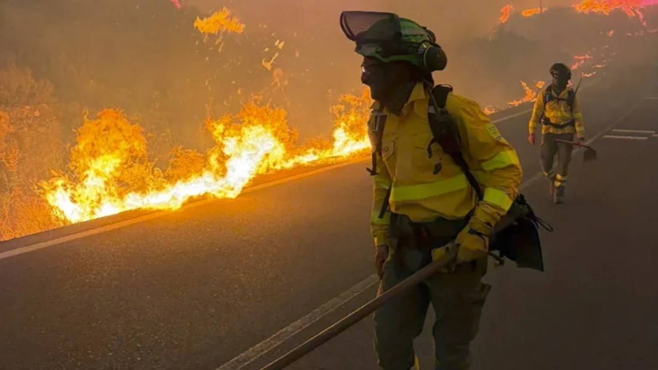 Incendio de Los Gallardos - Sociedad