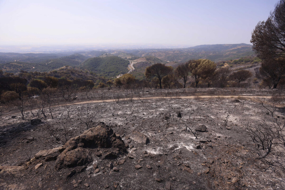 CERRO MURIANO (CÓRDOBA) 26/07/2026.- El incendio forestal que se declaró el viernes en Cerro Muriano, en Córdoba, ha quedado controlado a las 8.00 horas de este domingo, según ha informado el servicio de extinción de incendios de Andalucía, Infoca. El fuego ya fue estabilizado en la tarde del sábado, sobre las 20.00 horas, lo que permitió bajar a situación operativa 0 la emergencia del Plan Infoca y que los 274 desalojados volvieran a sus casas. EFE/ Salas