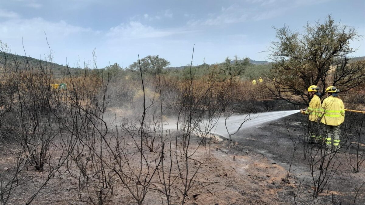 Bomberos actuando en el incendio de Alosno (Huelva).