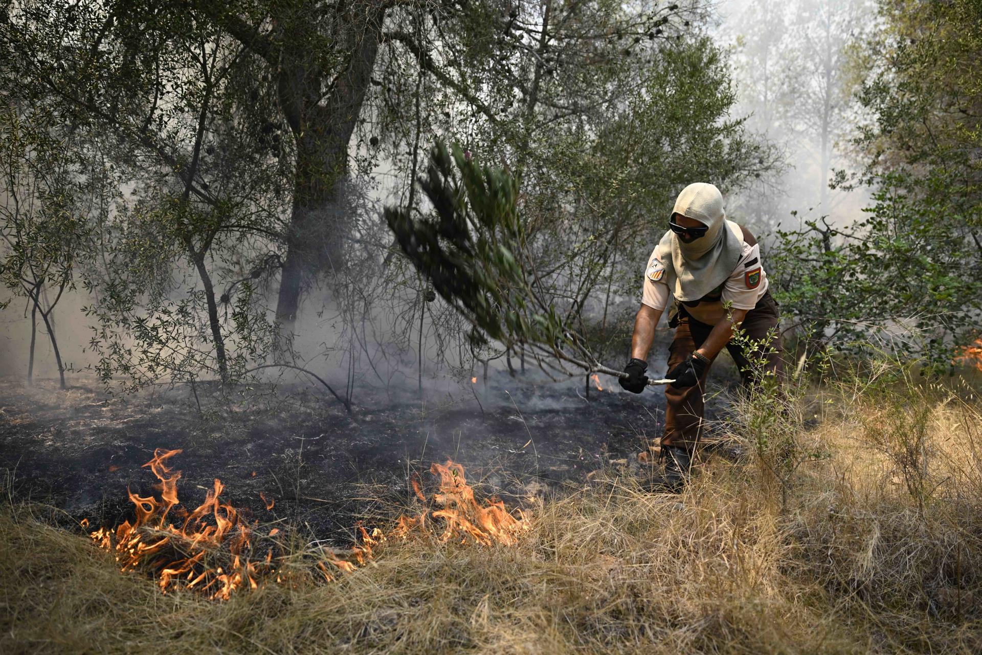 El 'combustible del monte' acumula ya más de 2,3 millones de hectáreas sin uso por el abandono de la agricultura y la ganadería El 'combustible del monte' acumula ya más de 2,3 millones de hectáreas sin uso por el abandono de la agricultura y la ganadería