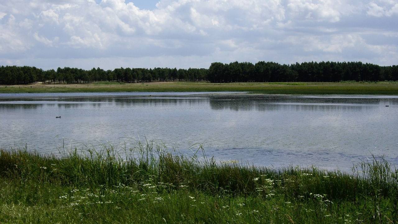 Lagunas de Cantalejo - Sociedad