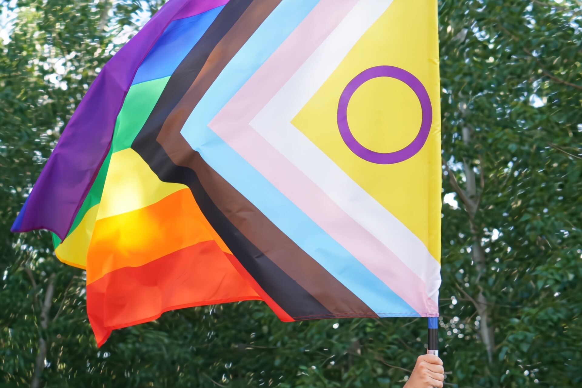 Bandera Lgtbiq+