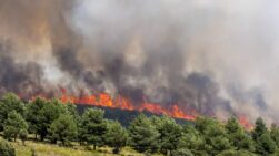 Peores incendios de la historia de Madrid - Sociedad
