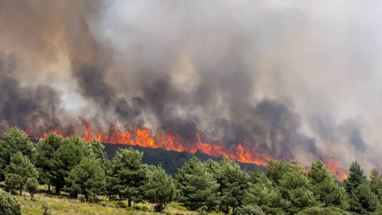 Los incendios de sexta generación amenazan España: así es el fuego capaz de crear su propia meteorología Los incendios de sexta generación amenazan España: así es el fuego capaz de crear su propia meteorología