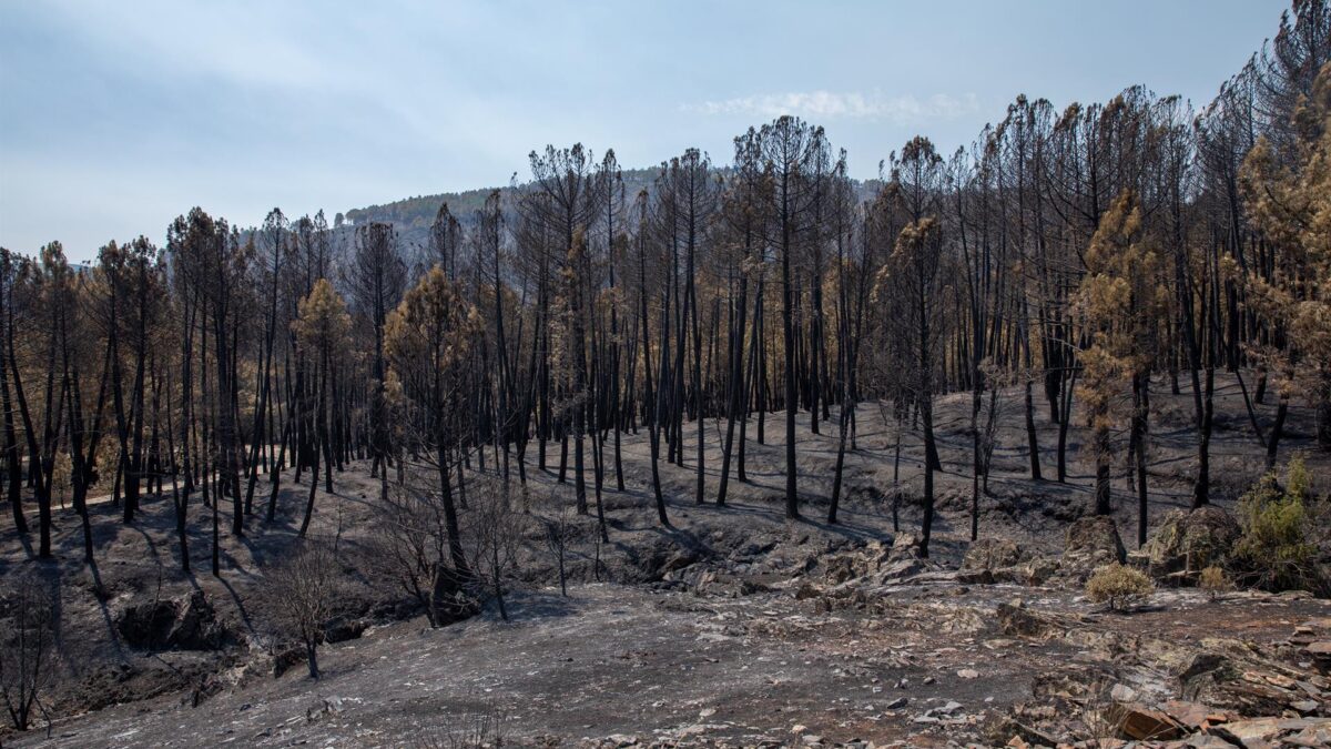 Terreno quemado