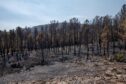 CCOO exige la dimisión de la consejera de Desarrollo Sostenible tras la gestión del incendio de La Mierla