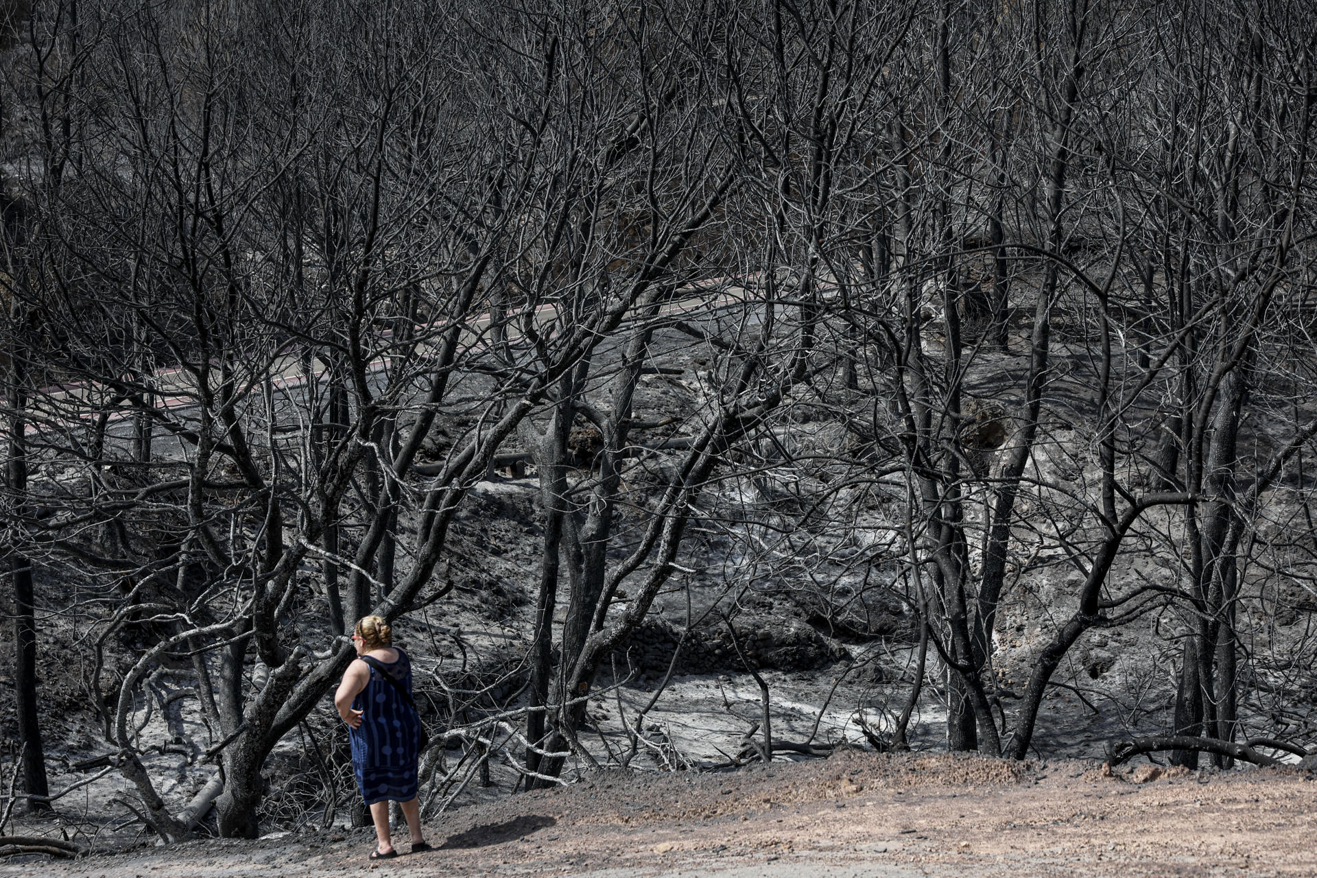 FOTODELDÍA - . ARTANA (CASTELLÓN), 01/08/2026.- Una mujer observa, este sábado uno de agosto, los efectos causados por el incendio en una zona cercana a la localidad de Artana (Castellón). Los medios terrestres y aéreos de extinción refrescan la zona afectada por el incendio y centran sus trabajos en los puntos calientes para que no se produzcan rebrotes del fuego. EFE/Manuel Bruque