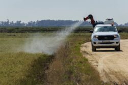 Defensa contra el virus del Nilo Occidental - Sociedad