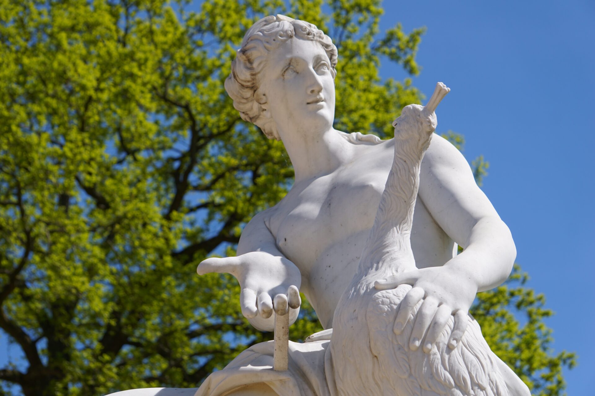 Hera