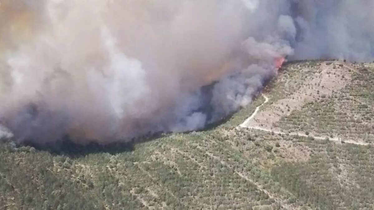 Incendio de Las Peñas de Riglos - Sociedad