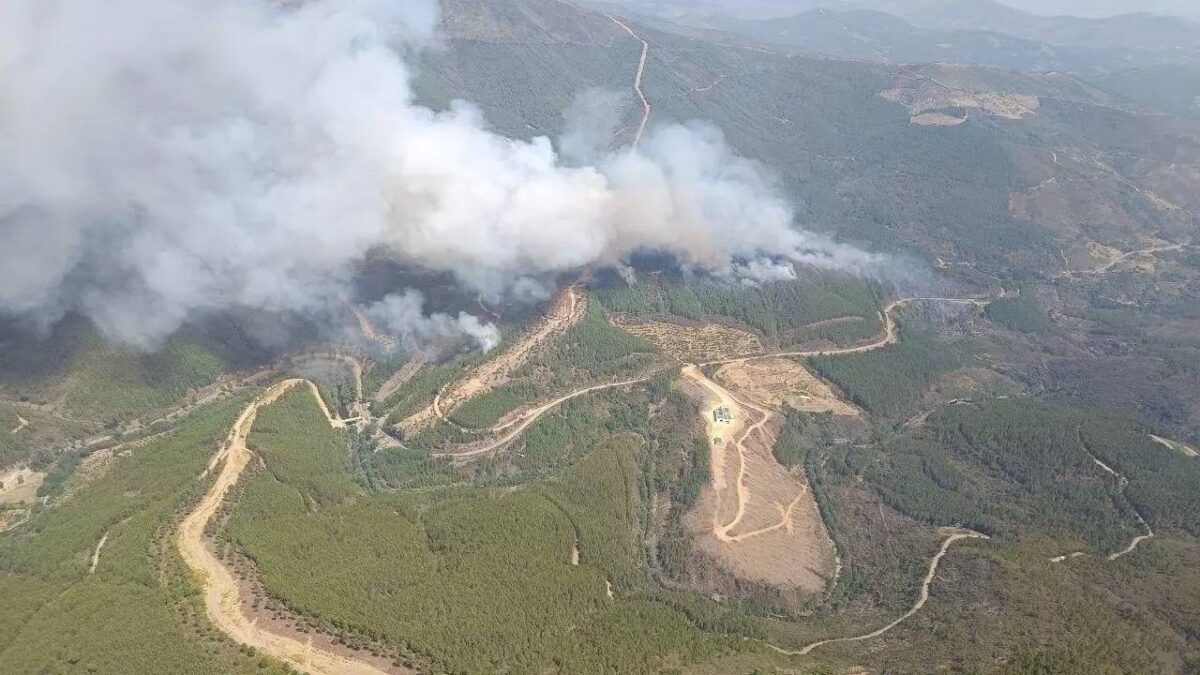 Incendio en Las Hurdes - Sociedad