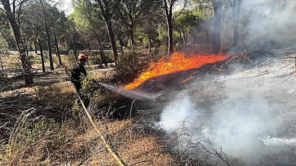 Madrid, 01/08/2026.- Estabilizado en fase de control y con vigilancia constante, así está el área afectada por el fuego en la sierra oeste de Madrid, donde trabajan 21 medios terrestres y tres medios aéreos. EFE/Comunidad de Madrid -SÓLO USO EDITORIAL/SOLO USO PERMITIDO PARA ILUSTRAR LA NOTICIA QUE APARECE EN EL PIE DE FOTO (CRÉDITO OBLIGATORIO)-