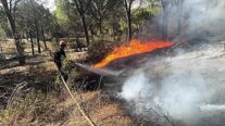 Madrid, 01/08/2026.- Estabilizado en fase de control y con vigilancia constante, así está el área afectada por el fuego en la sierra oeste de Madrid, donde trabajan 21 medios terrestres y tres medios aéreos. EFE/Comunidad de Madrid -SÓLO USO EDITORIAL/SOLO USO PERMITIDO PARA ILUSTRAR LA NOTICIA QUE APARECE EN EL PIE DE FOTO (CRÉDITO OBLIGATORIO)-