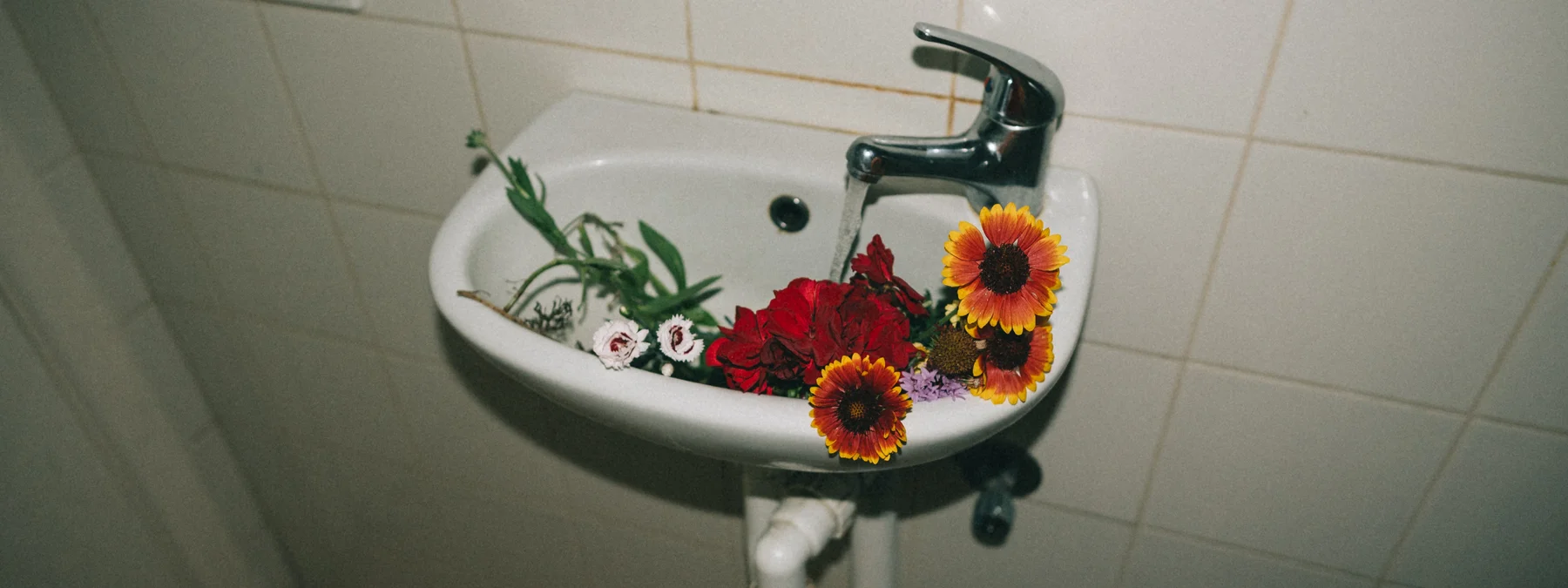 El regreso de Tumbr