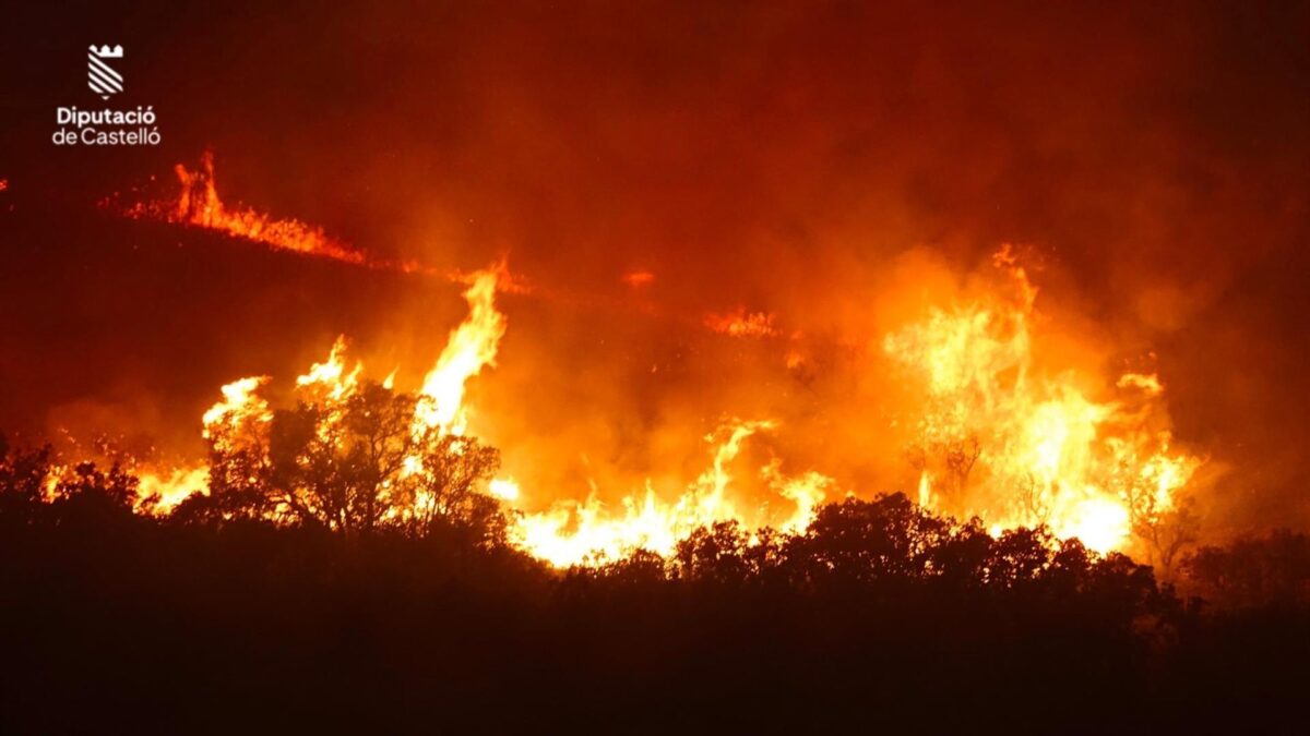 Incendio forestal en Segorbe (Castellón).