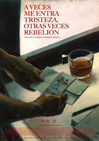 'A veces me entra tristeza, otras veces rebelión', de María Aparicio