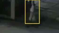 Presunto asesino de Claudia Tacoronte - Internacional
