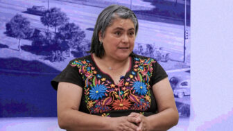 La activista y presidenta de la Red de Mujeres Indígenas y Afrodescendientes con Discapacidad de América Latina y el Caribe (Remiad), Olga Montúfar Contreras