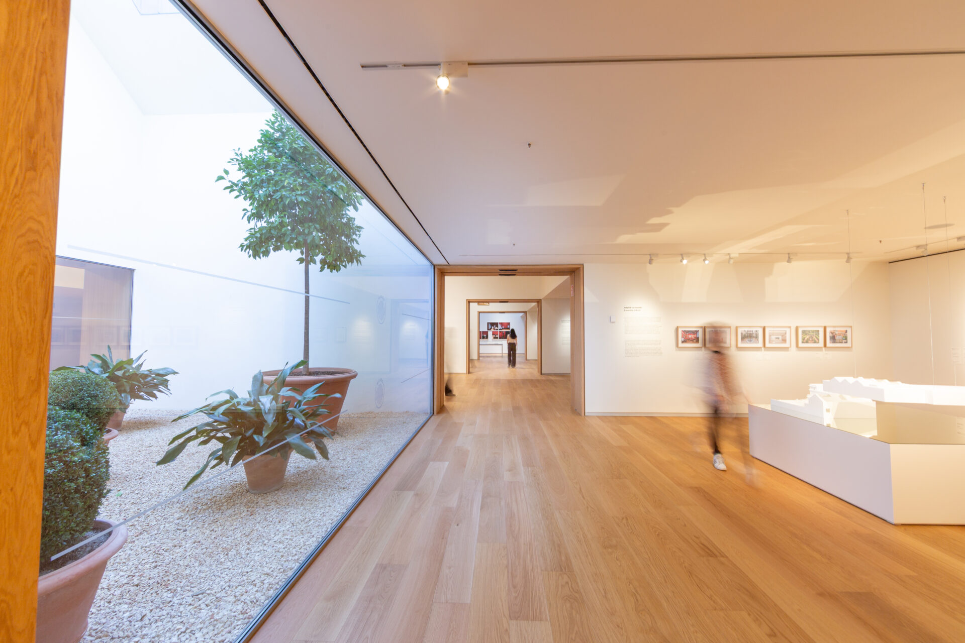 El patio interior de la nueva ampliación del Museo Sorolla.