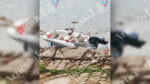 Al menos 16 detenidos por trasladar inmigrantes de Ceuta a la península desde la avalancha de julio