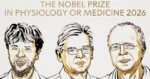 El Nobel de Medicina 2026 premia a los científicos que aprendieron a controlar el cerebro con la luz