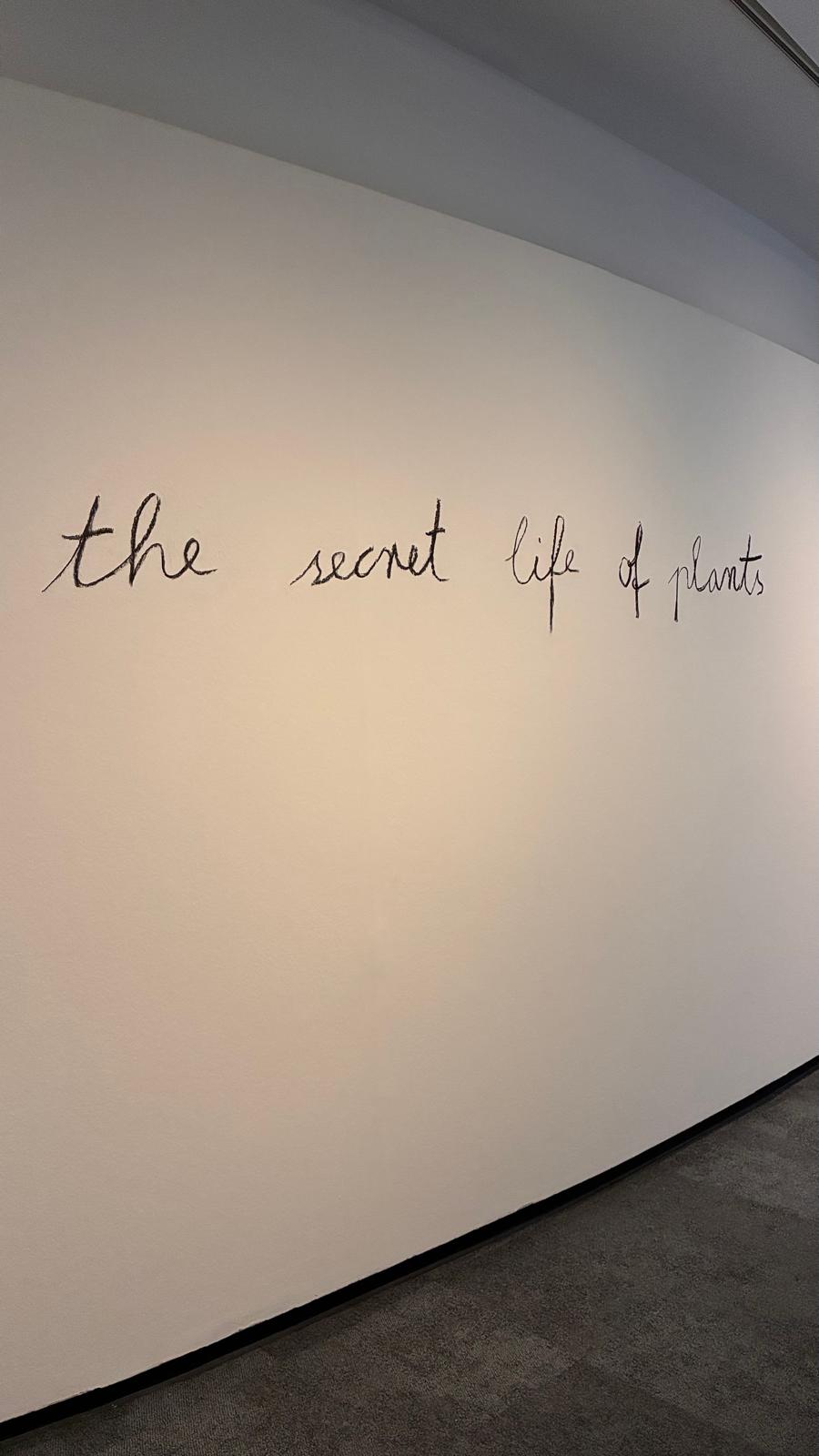 En la pared de su exposición en La Padrera de Barcelona, Anselm Kiefer ha escrito a carboncillo 'The Secret Life of Plants'