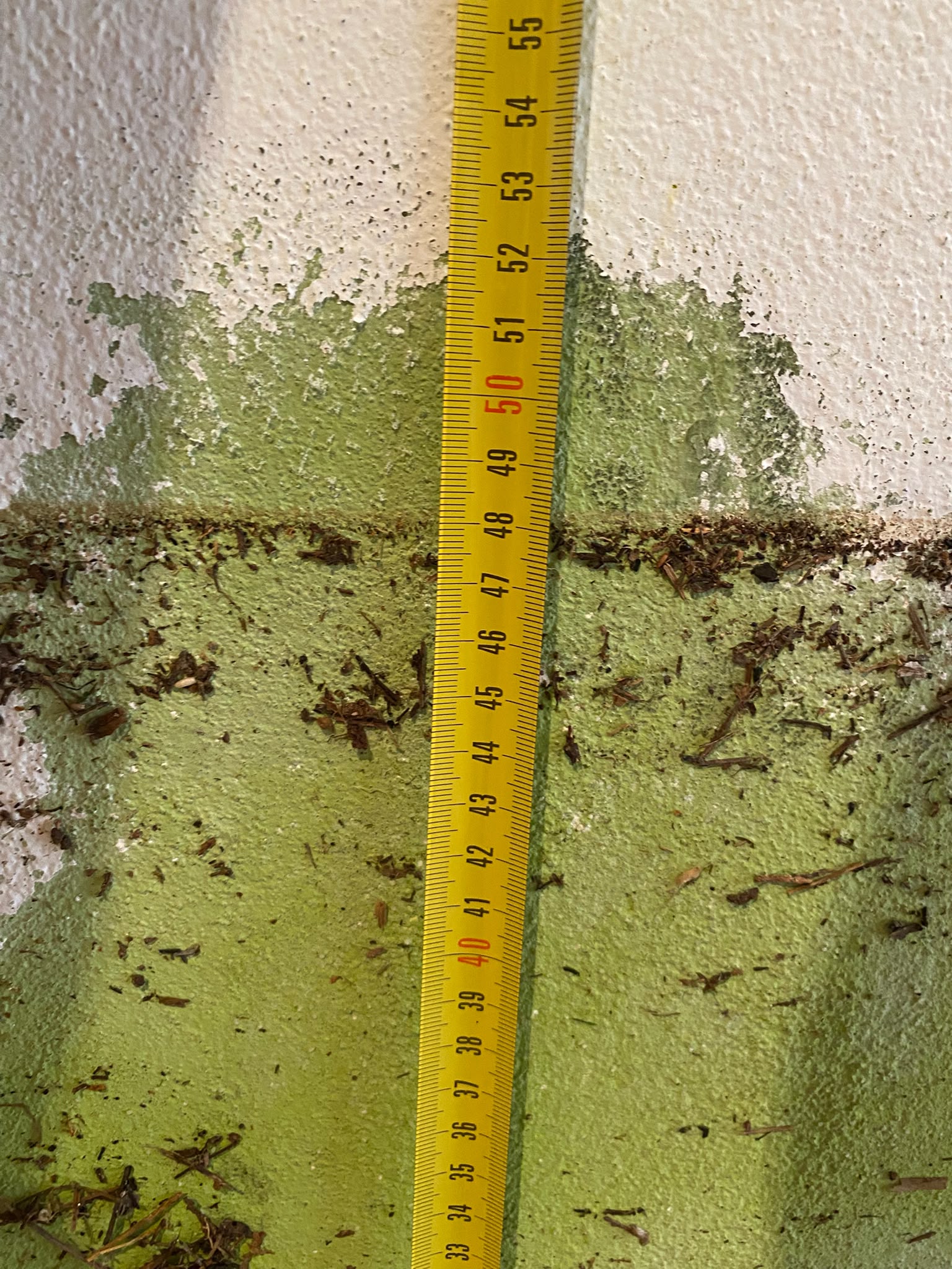 Altura a la que llego el agua en casa de Vicente.