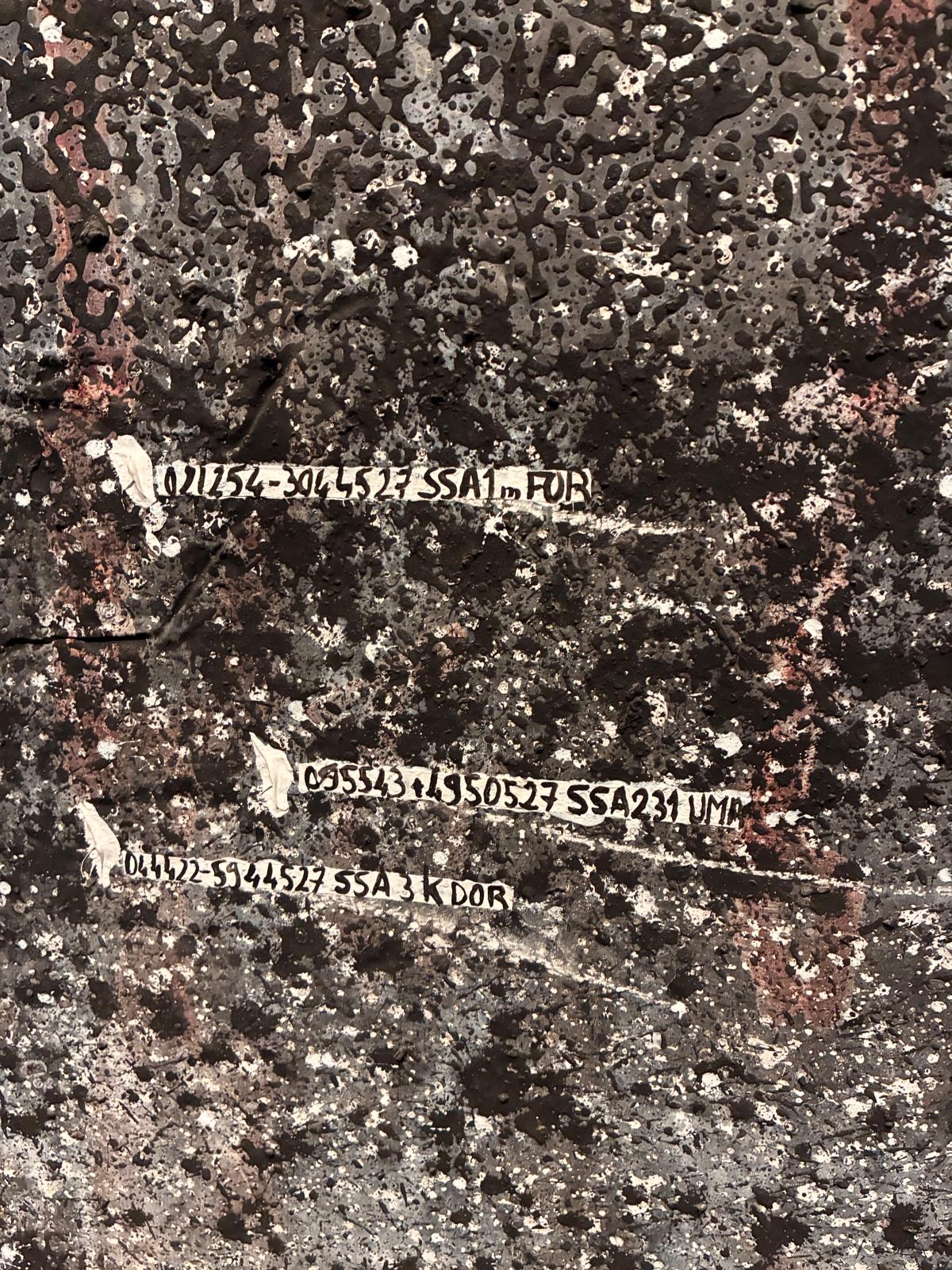 Los nombres de las constelaciones que aparecen en las obras de Anselm Kiefer