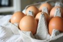 Retiran huevos contaminados con salmonela en España tras 13 intoxicaciones: qué se sabe de los lotes afectados