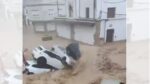 Tragedia en Albacete por la lluvia: una mujer de 100 años fallecida, calles arrasadas y cientos de incidencias